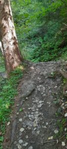 Innsbruck Trail 202013